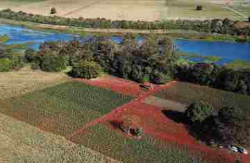  Paraná tem planos estratégicos para agricultura sustentável, segurança hídrica e descarbonização